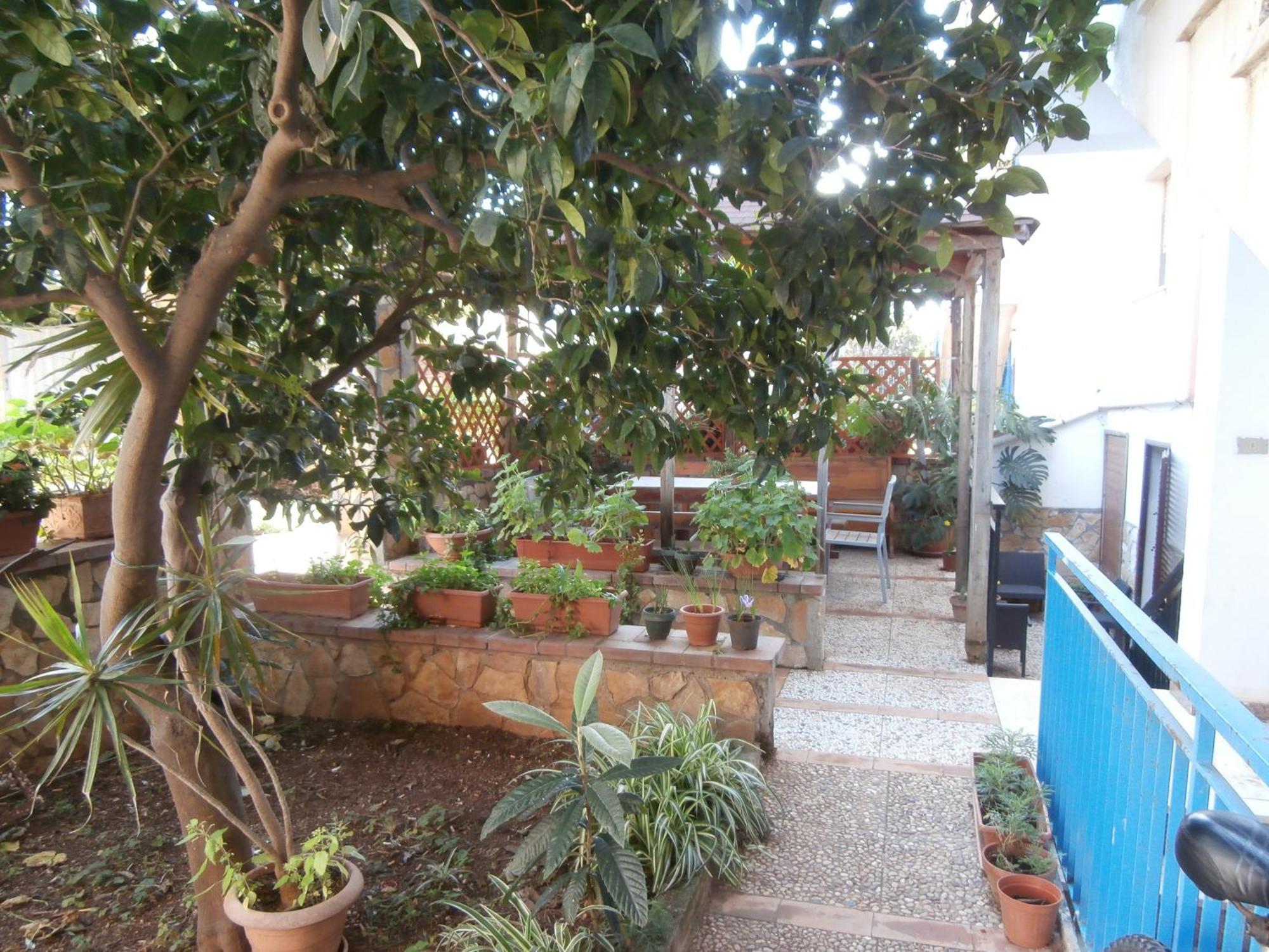 מונדלו Busalacchi B&B מראה חיצוני תמונה