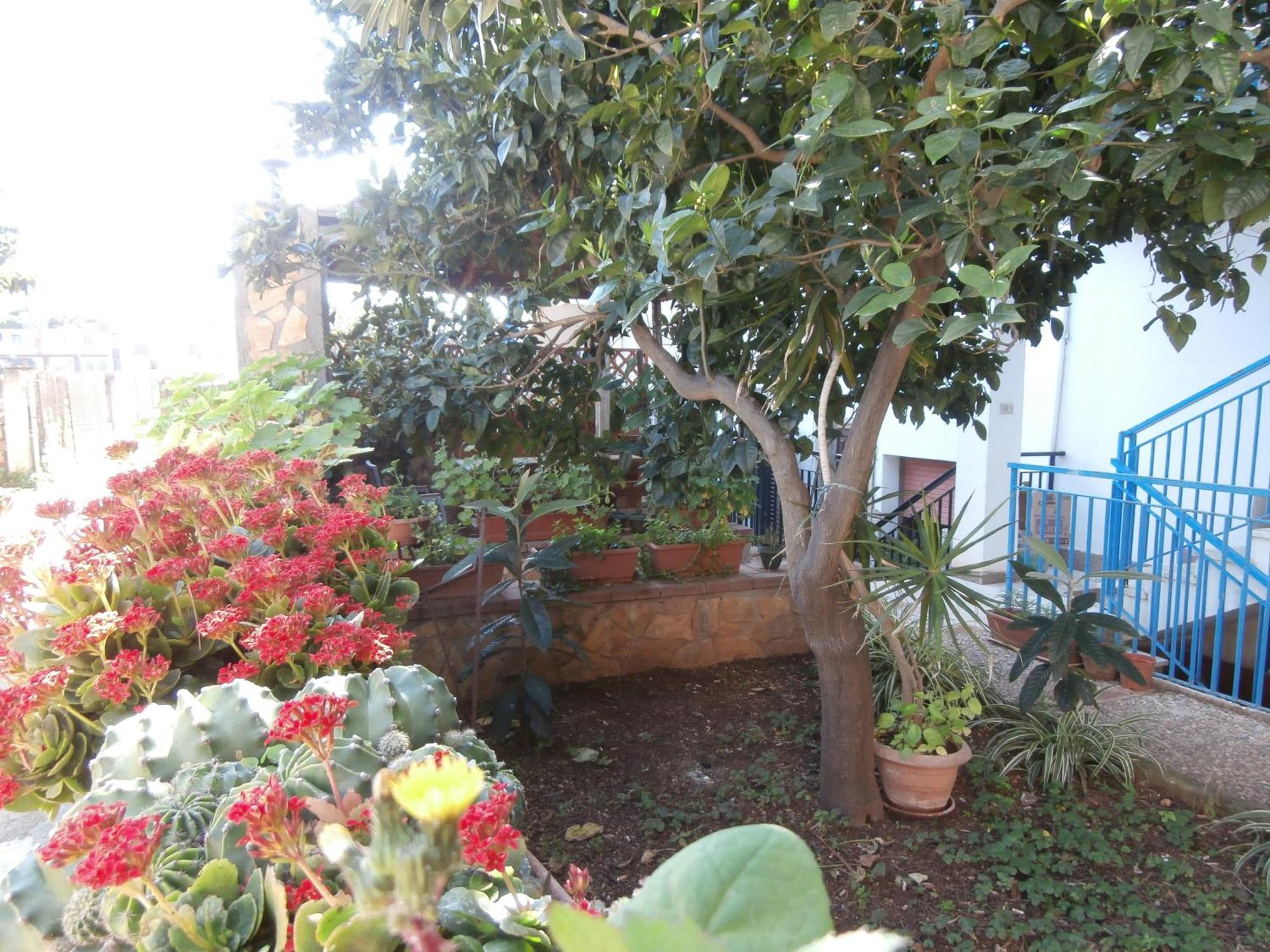 מונדלו Busalacchi B&B מראה חיצוני תמונה